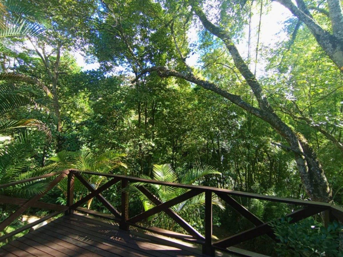 Casa en El Tesoro - 21