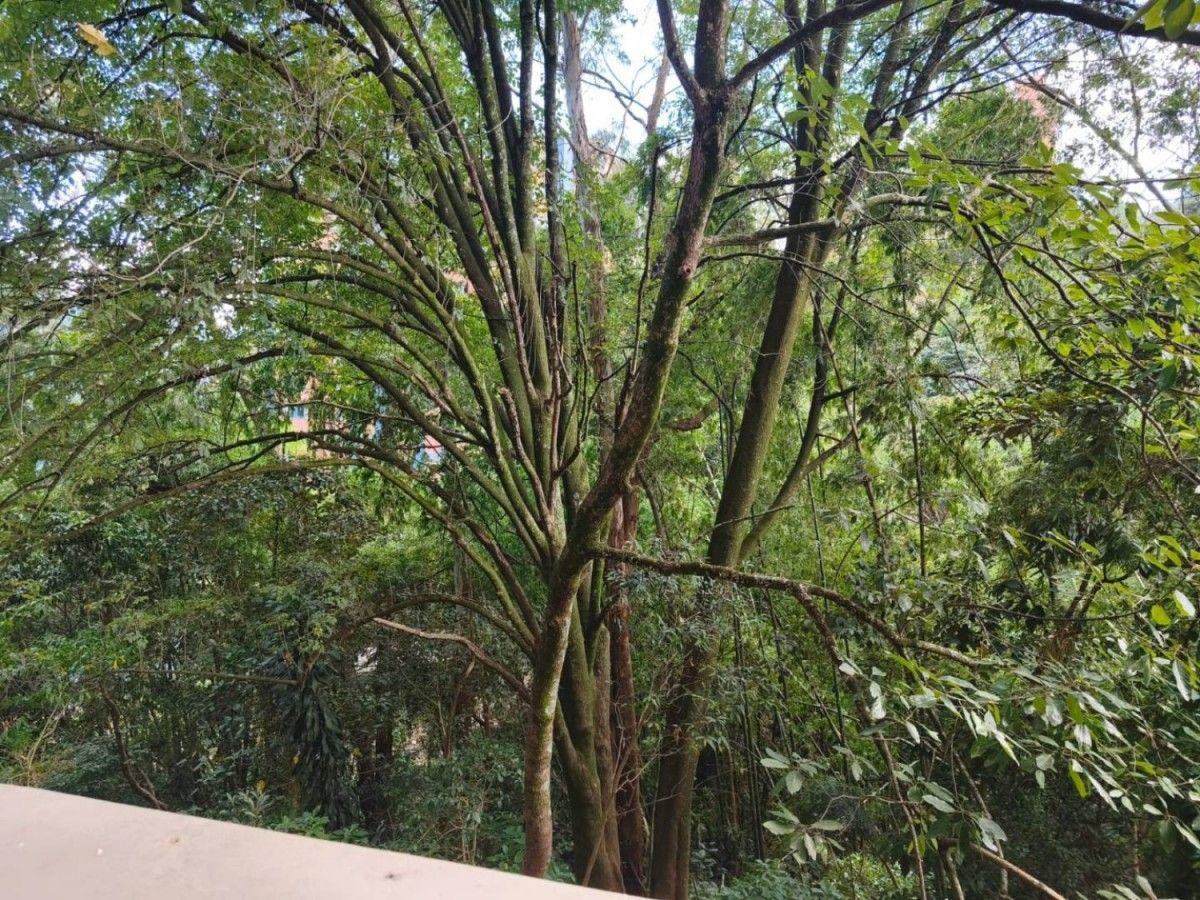 Apartamento en Cumbres - 15