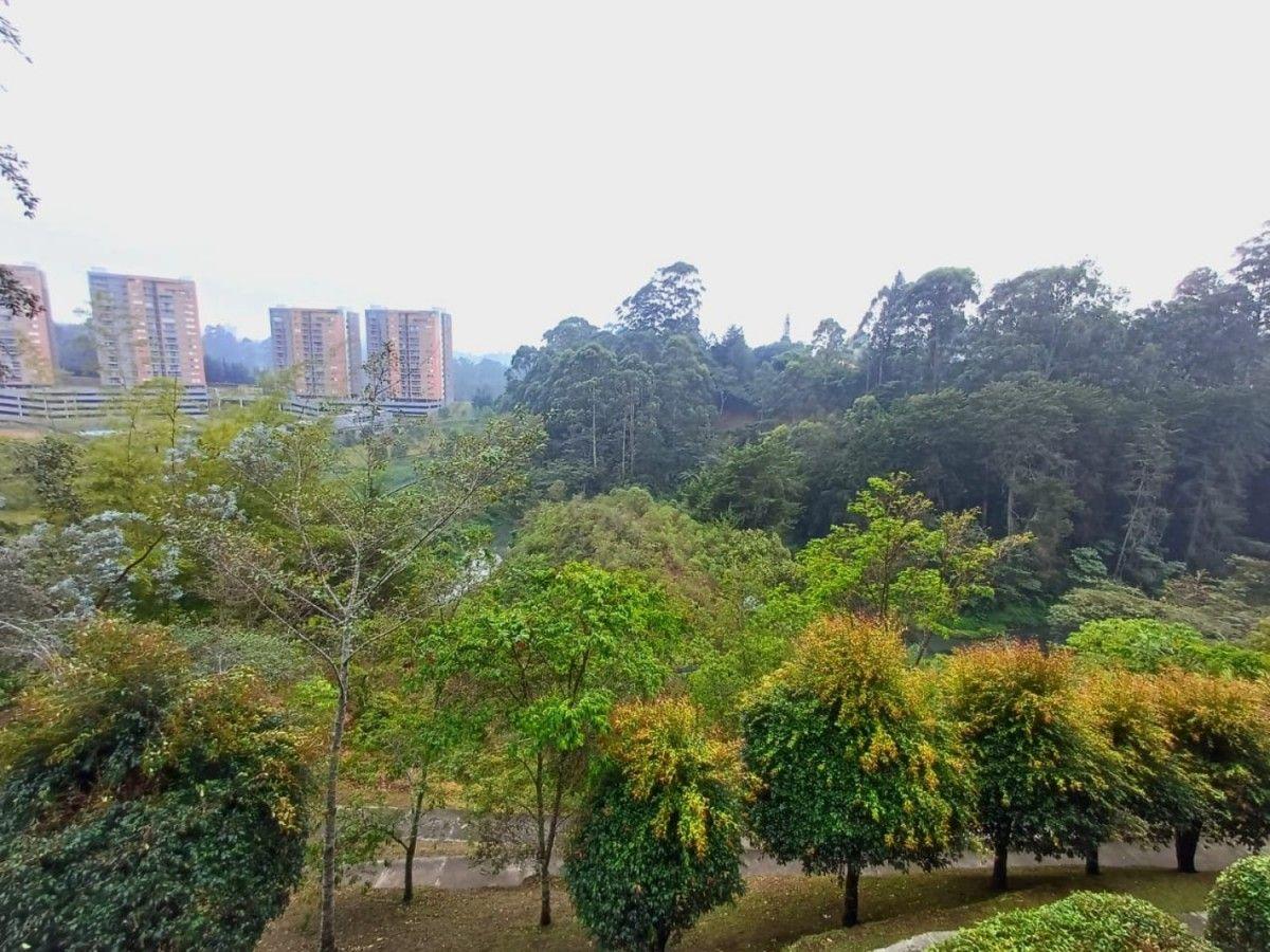 Apartamento en Los Colegios - 17