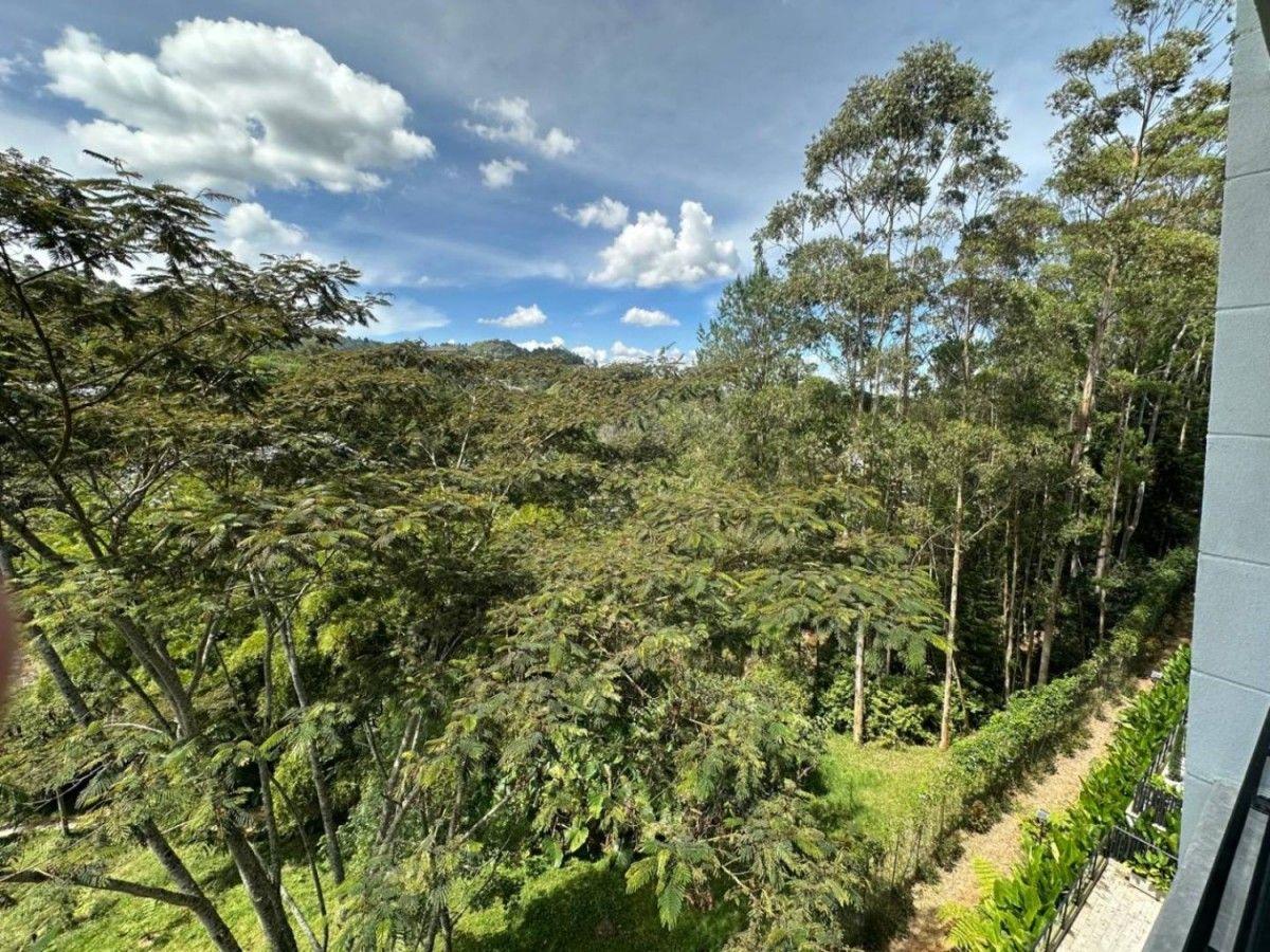 Apartamento en Sajonia - 14